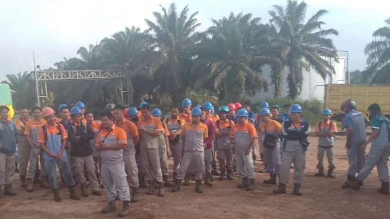 Awal Perjuangan: Konsolidasi Pekerja dan Dukungan Manajemen Melahirkan SP.PKS-P